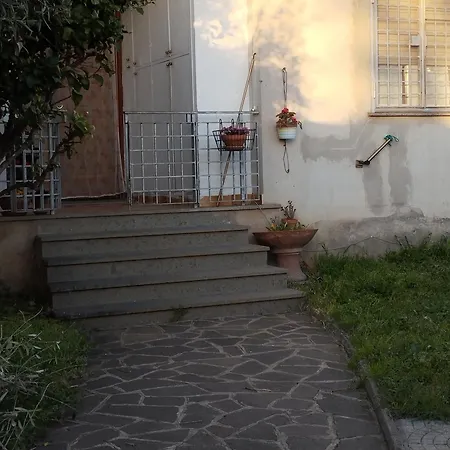 Elena House Homestay