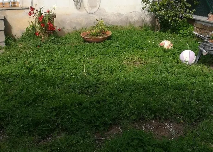 Elena House Homestay szállás *