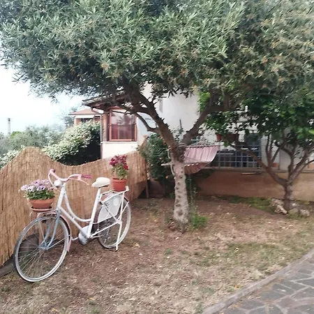 Accommodatie bij particulieren Elena House *