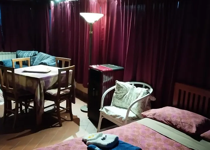 홈스테이 Elena House